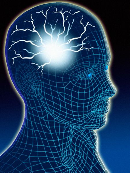 [Lynda.com] Как улучшить память (Пол Новак)_0.jpg